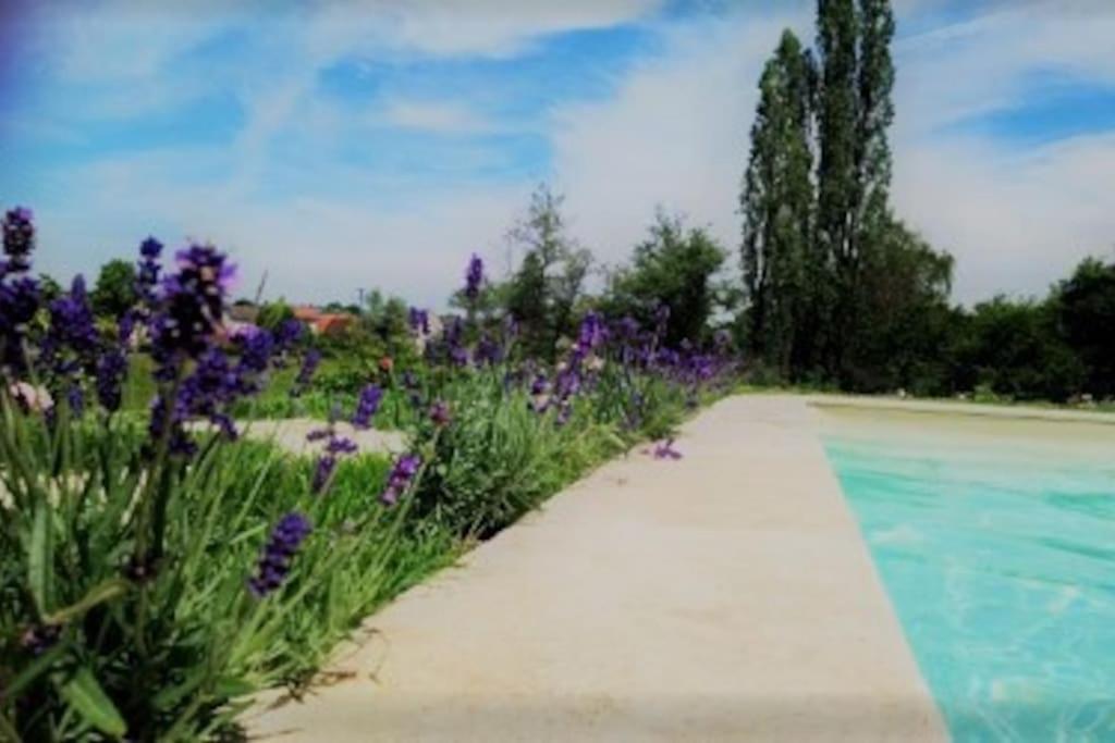 Les Vacances Passy  Exterior photo
